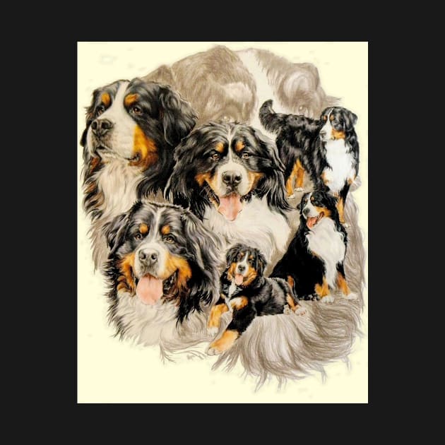 Bernese Medlody by BarbBarcikKeith