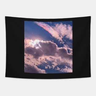 kendalljenner sky t-shirt gift for your friend Tapestry