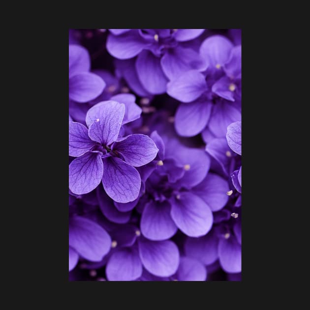 Beautiful Violet Flowers, for all those who love nature #124 by Endless-Designs