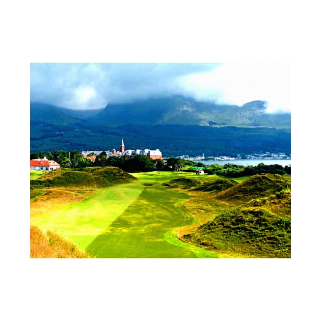 9th Hole at Royal County Down by terryhuey