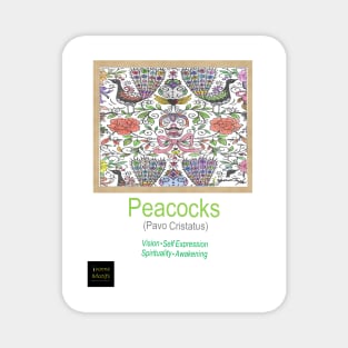 Peacocks Magnet