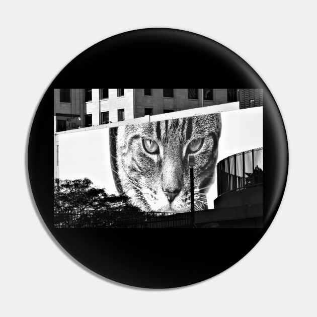 Detroit cat Pin by ThomasGallant