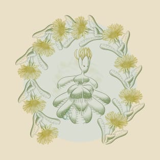 Succulent Sprite - faucaria tigrina T-Shirt