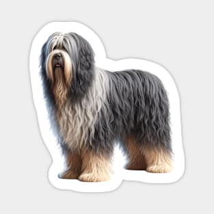 Bergamasco Sheepdog Magnet