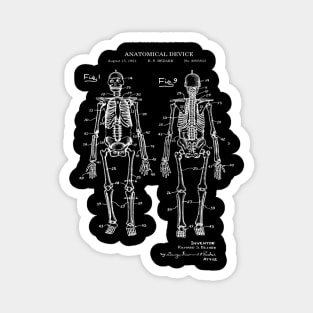 Anatomical Human Skeleton Patent Print 1921 Magnet