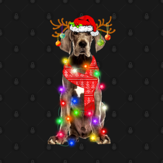 Disover Great Dane Dog Reindeer Santa Hat Christmas Lights Happy Holidays Season - Merry Christmas Dog - Great Dane Christmas - T-Shirt