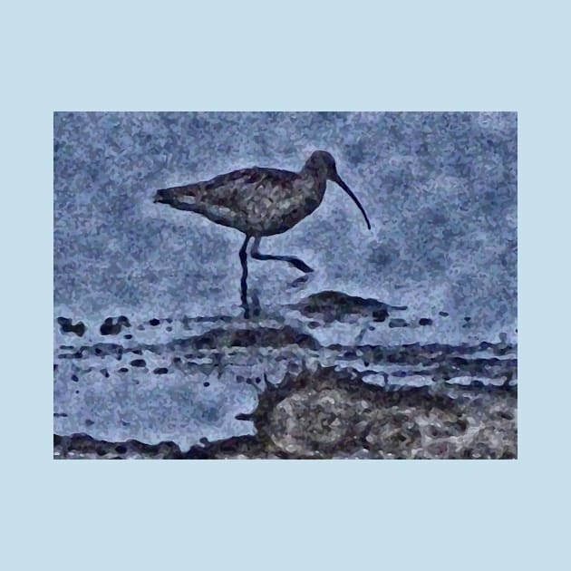 THE PATTER OF THE CURLEW by dumbodancer