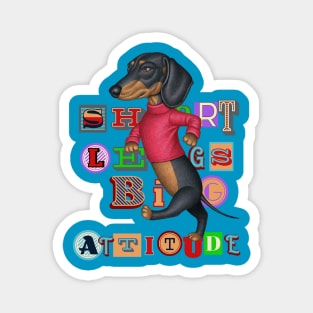 Cute Doxie Dog walking with attitude on a Short Legs Big Attitude Dachshund tee Magnet