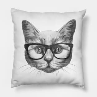 Smart Kitty Pillow