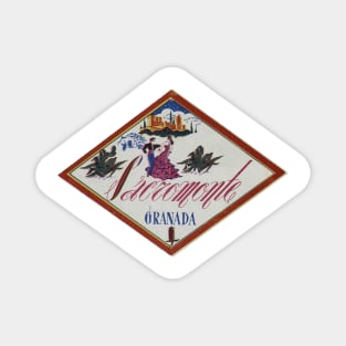 Flamenco Granada Andalucia Spain Vintage Magnet