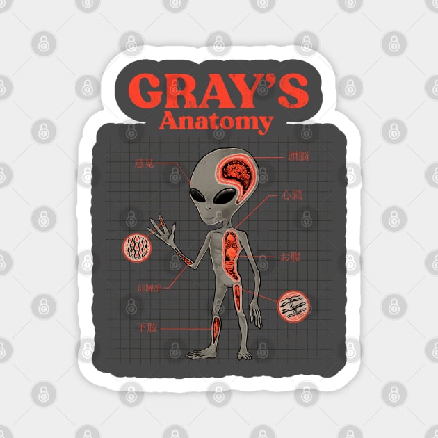 Gray's Anatomy Magnet by ppmid