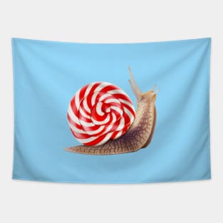 Snail Candy Tapestry