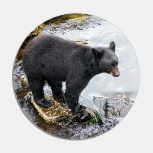 Black Bear at River's Edge Pin