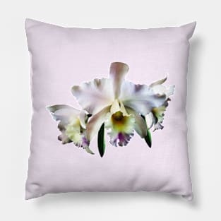 White Cattleya Orchids Pillow