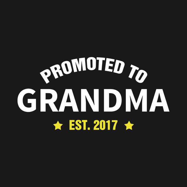 Promoted To GRANDMA Est 2017 gift ideas for family by bestsellingshirts