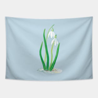 Snowdrops - Galanthus Tapestry