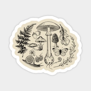 Forest Floor Treasures Magnet