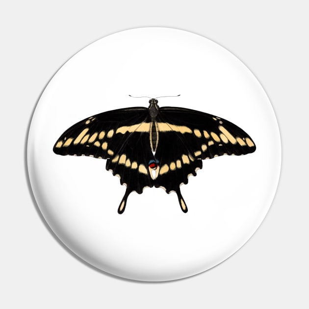 Eastern Giant Swallowtail Pin by JadaFitch