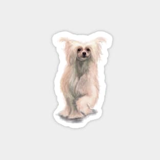 The Chinese Crested Powerpuff Dog Magnet