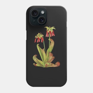 Parrot Pitcherplant - Sarracenia Psittacina - Walcott - Botanical Illustration Phone Case