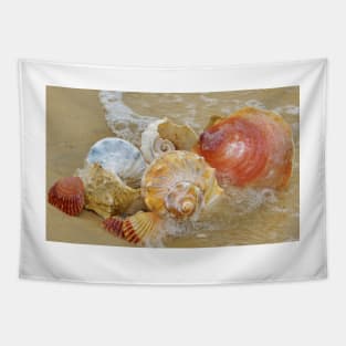 Seashells by the Seashore Tapestry