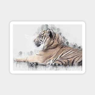 Tiger Wild Animal Safari Africa Feline Jungle_ Magnet