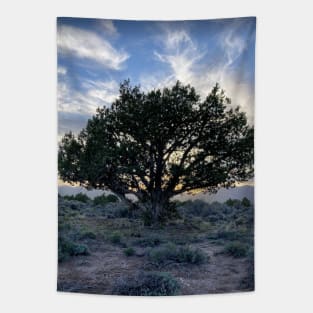 Majestic Desert Juniper Tree at Sunset Tapestry