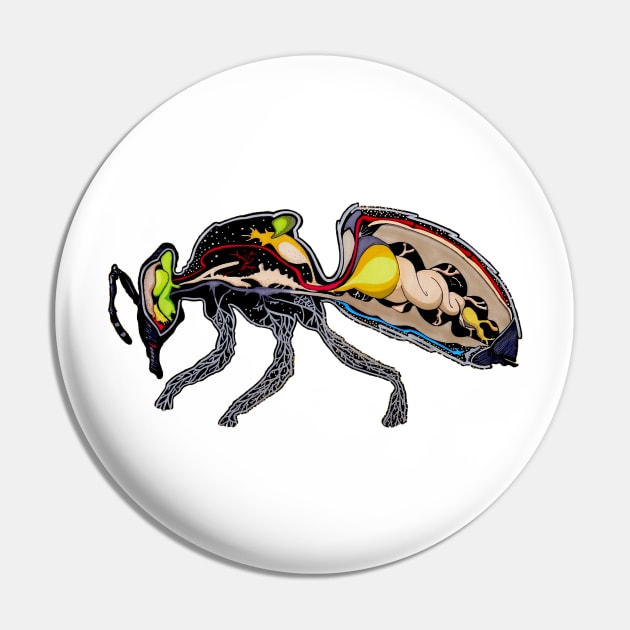 Honey Bee - Dissection Pin by wrg_gallery