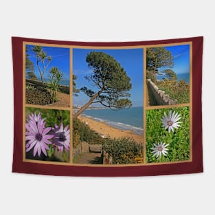 Pinecliff Gardens, Canford Cliffs, Poole, March 2024 Tapestry