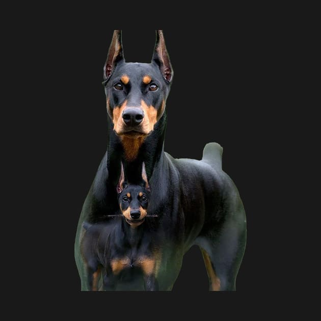 doberman and his son by The Enthousiaste