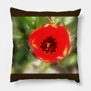 top of the tulip Pillow