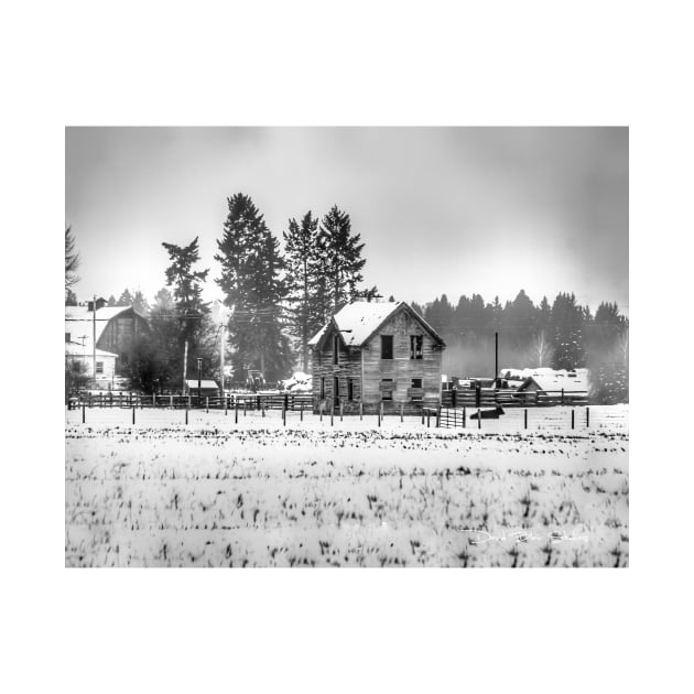 A Hazy Shade Of Winter  - Black And White by davidbstudios