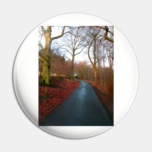 A winter walk in the park Pin