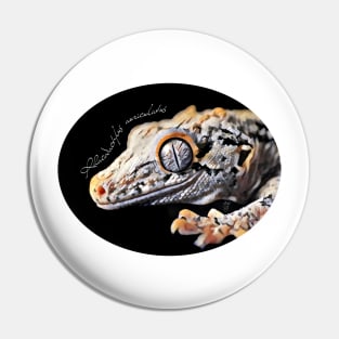 Gargoyle gecko with scientific name Pin