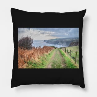 Cleveland Way North Yorkshire Coastline Art Print Pillow