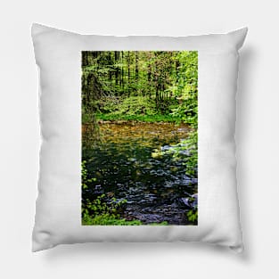 River Orbe III, Switzerland Pillow