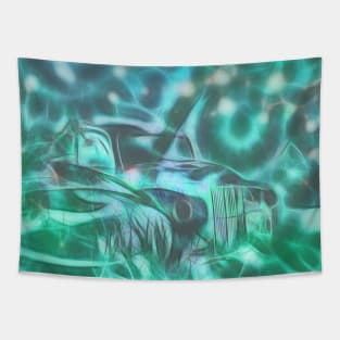 Underwater wreck Tapestry