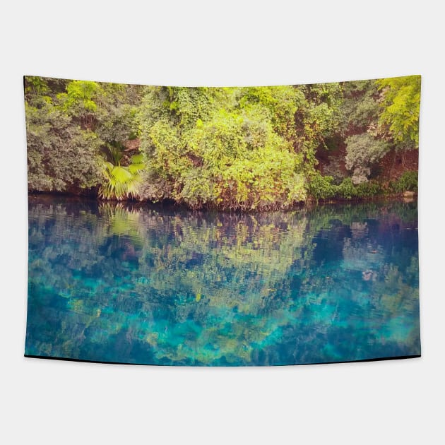 Lagoon Tapestry by Astrablink7