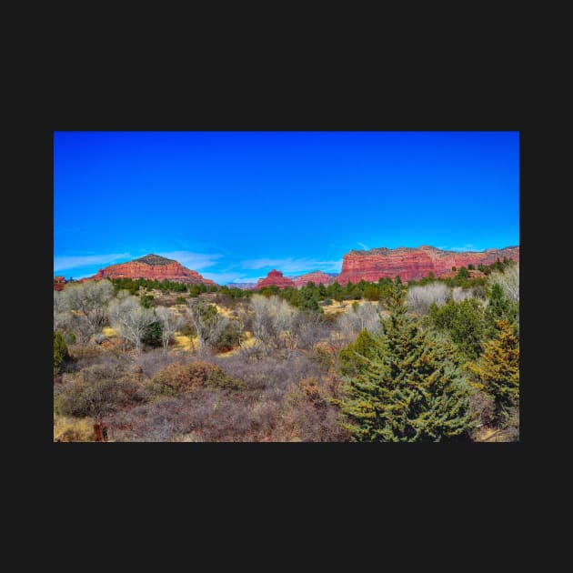 Sedona Arizona Landscape by JimDeFazioPhotography