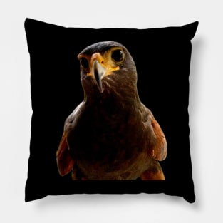 Hi Hawk Pillow