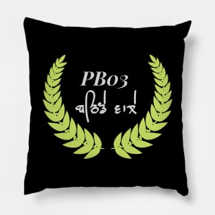 Punjabi Bathinda Pillow