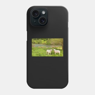 Spring lambs, Cotswolds Phone Case