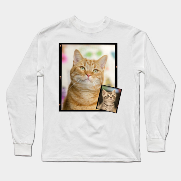 I Love Cats I Love Cats Long Sleeve T Shirt Teepublic