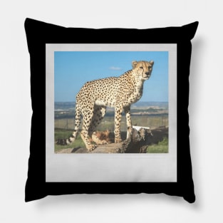 CHEETAH Photograph Cute Big Cat Vintage Picture Pillow