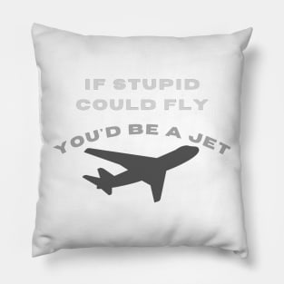 If stupid could fly you'd be a jet Pillow