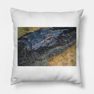 Alligator face Pillow