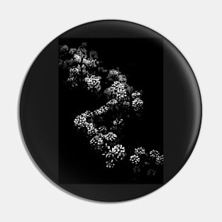 Backyard Flowers In Black And White 33 Pin