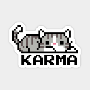 Karma - Gray Striped Cat Magnet