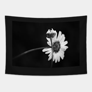 "Daisy Duo" Tapestry