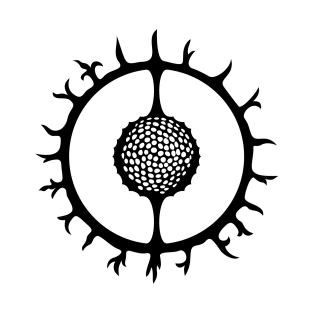 Radiolaria T-Shirt